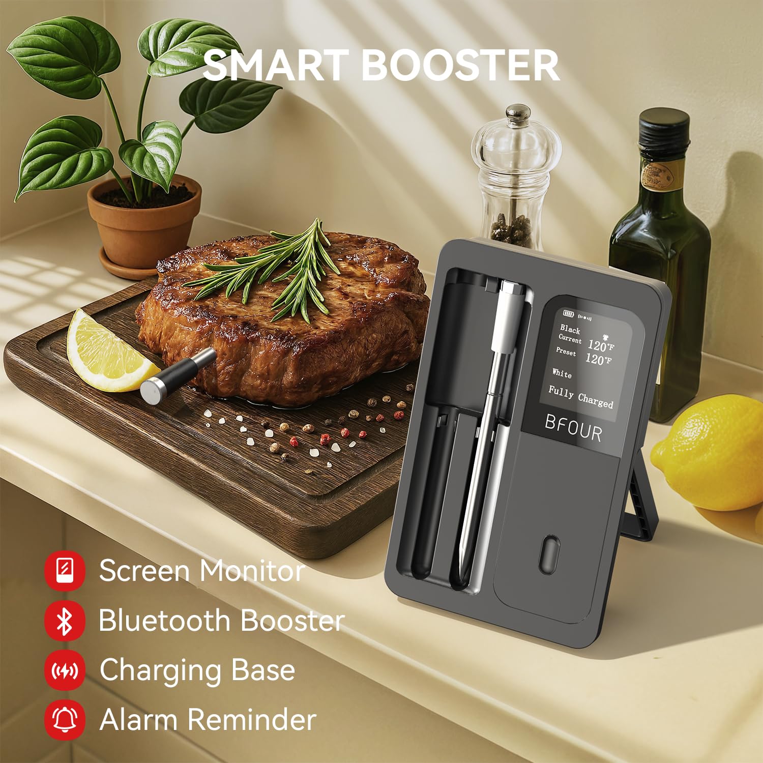 Kitchen Appliances Video - Wireless Meat Thermometer Bluetooth Waterproof Probes